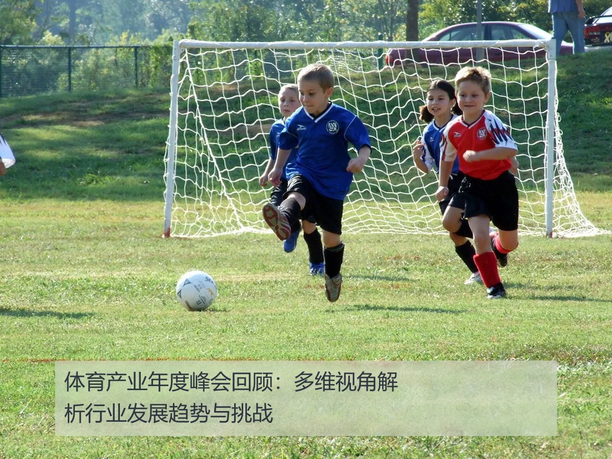 体育产业年度峰会回顾：多维视角解析行业发展趋势与挑战